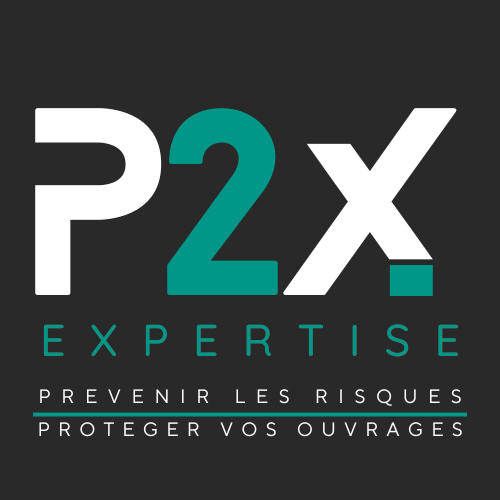 Logo P2X